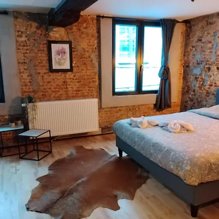 Mercurius Grote Markt Holiday home *